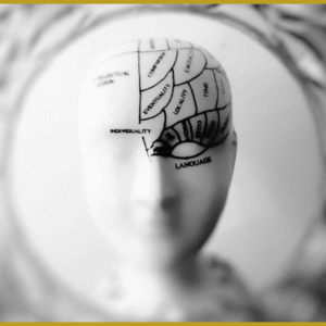 guided meditation: an organized mind