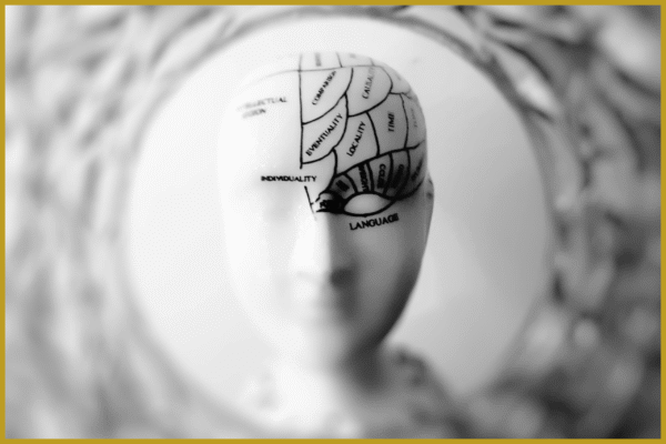 guided meditation: an organized mind guided meditation: an organized mind